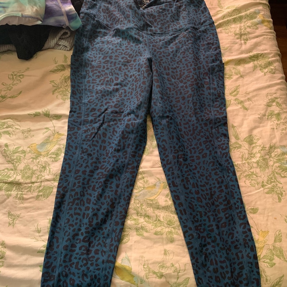 Active pants from torrid